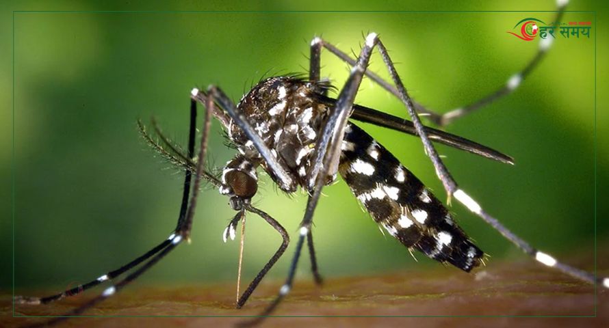 जापानिज इन्सेफ्लाइटिसका कारण पाँच जनाको मृत्यु