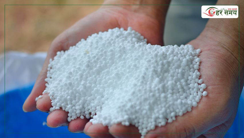 कृषि मन्त्रालयको स्थानीय तहलाई चेतावनी : रासायनिक मल तुरुन्त नलगे डिपोबाटै बिक्री गर्छौ  