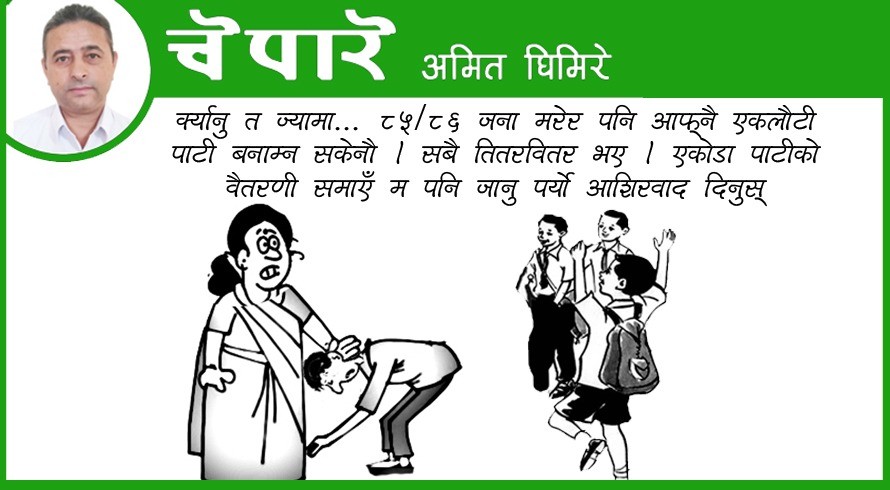 कार्टुन : पार्टी समाउन जान परो आशिरवाद दिनुस्!