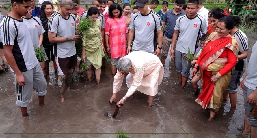 शीतलनिवासमा प्रतिकात्मक रोपाइँ, राष्ट्रपति पौडेल सहभागी