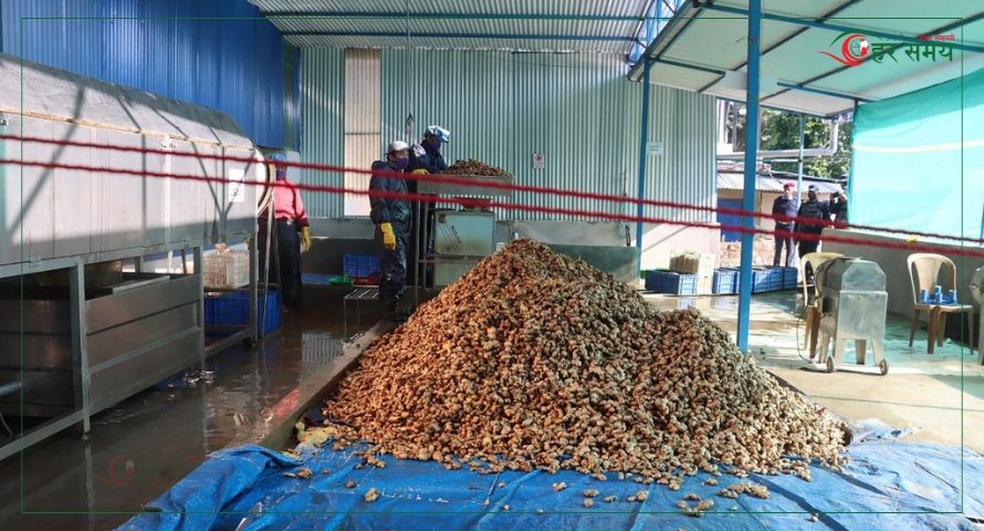 कर्णालीका कृषि उत्पादन युरोप निर्यात