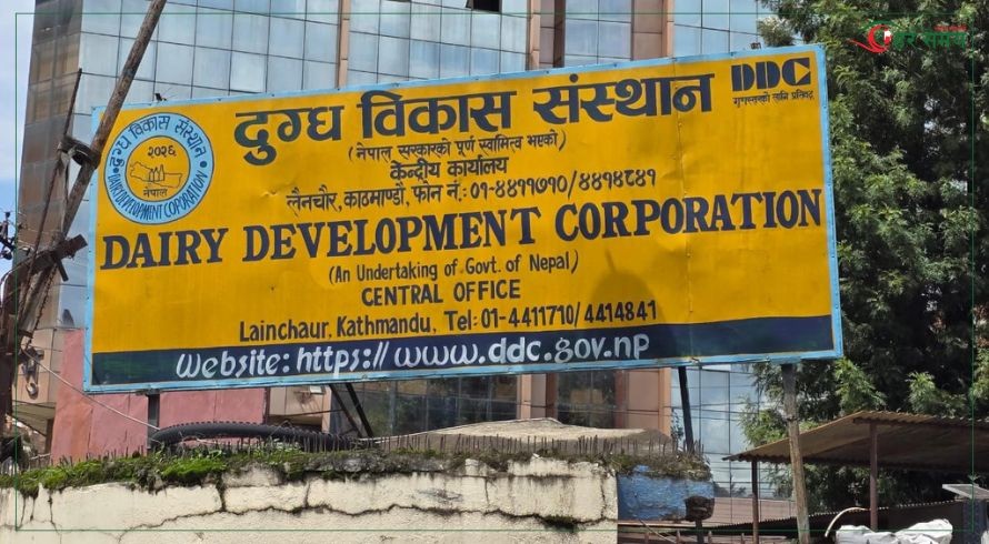 डीडीसी महाप्रबन्धकको जिम्मेवारी डा.पाण्डेयले पाए, कर्मचारीका दूधघ्यू सुविधा कटौती
