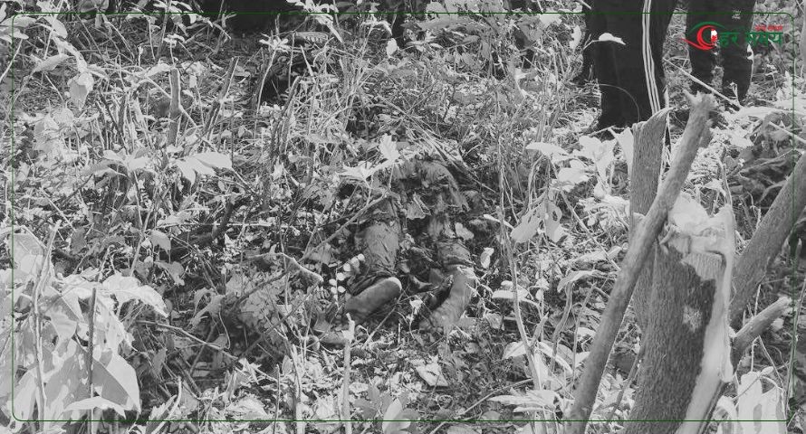 बर्दियामा चितुवाले आक्रमण गर्दा महिलाको मृत्यु, दुई जनाले भागेर ज्यान बचाए