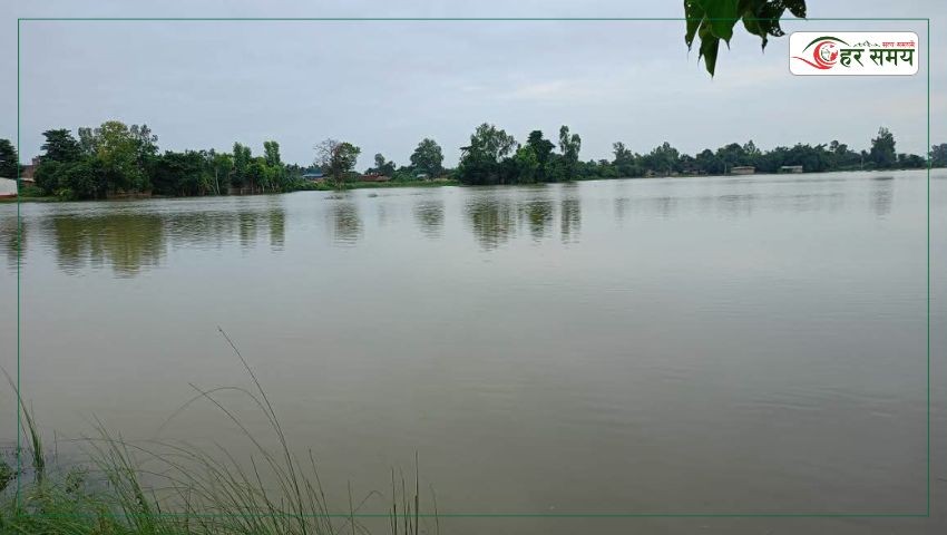 रौतहटका धान खेत जलाशयमा परिणत, किसान मर्कामा 