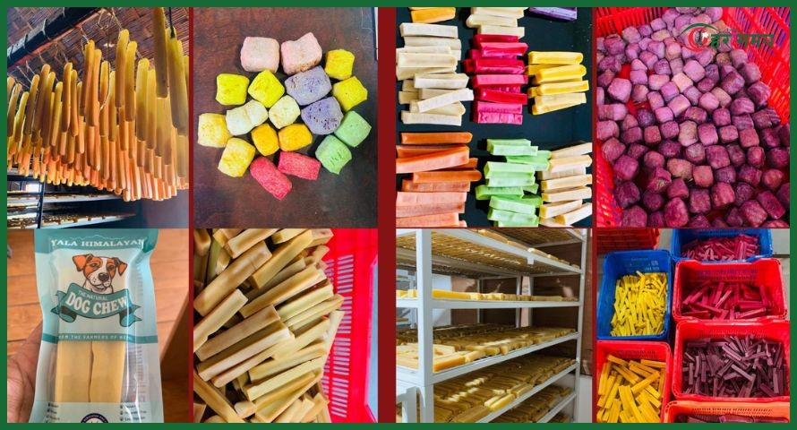 अमेरिकी बजारमा लोकप्रिय बन्न थाल्यो ‘याला हिमालयन डग चियु’