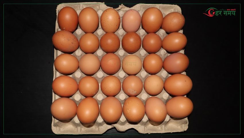 अण्डाको मूल्यमा वृद्धि