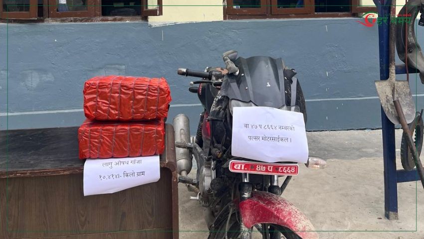 सर्लाहीमा १० किलो गाँजासहित युवक पक्राउ