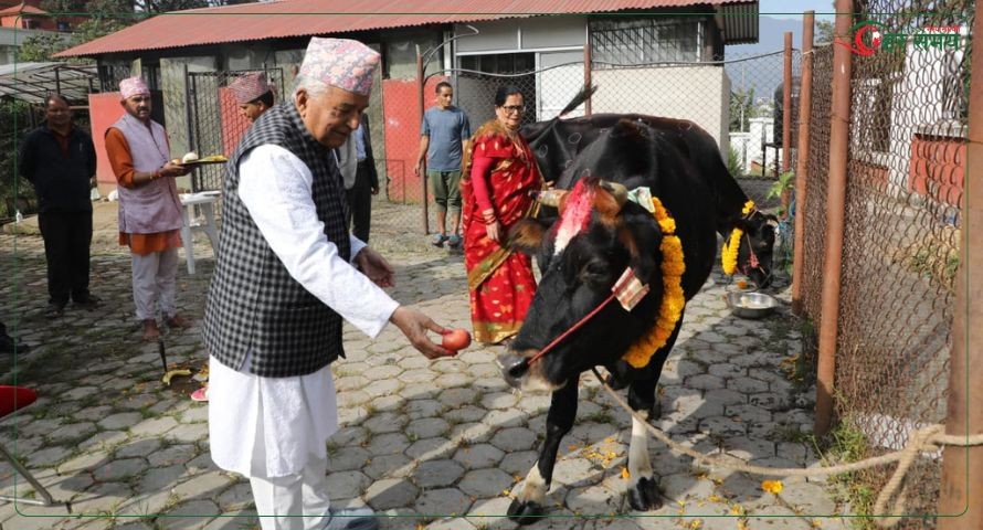 राष्ट्रपति पौडेलद्वारा गाई पूजा