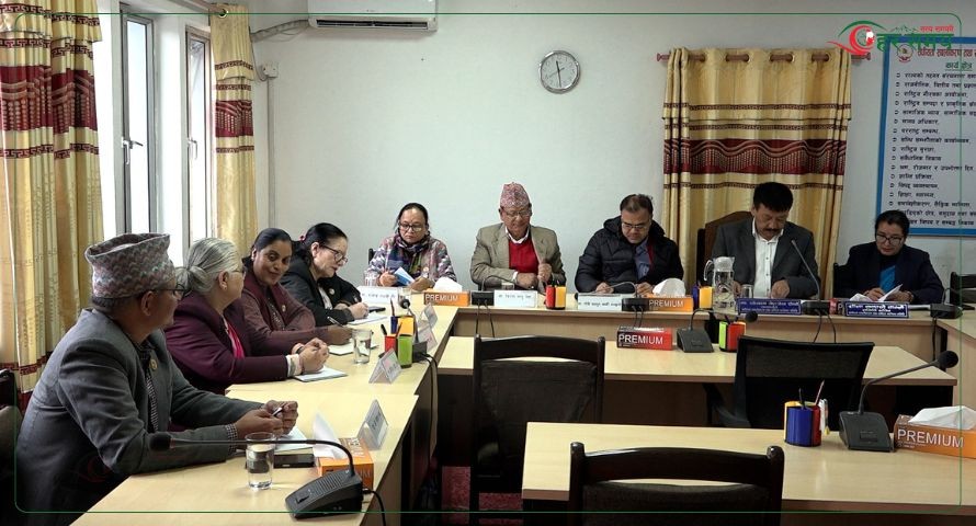 संघीयता सबलीकरण तथा राष्ट्रिय सरोकार समितिमा नयाँ कार्ययोजनाबारे छलफल (भिडियोसहित)