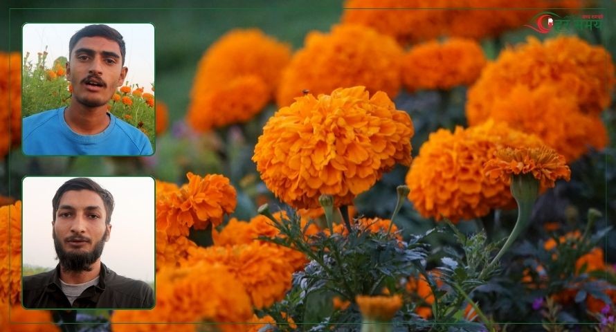 युवाले फूलाए ढकमक्क सयपत्री, माग उच्च (भिडियोसहित)