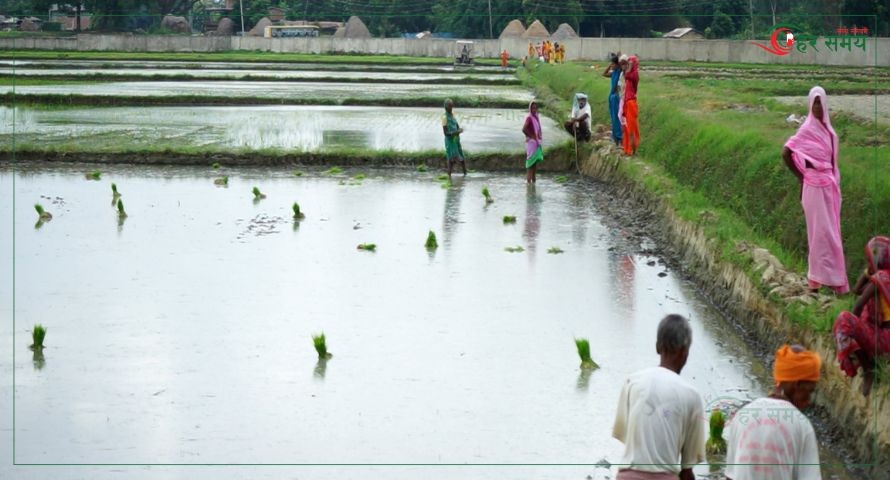 ‘अहिले सबैभन्दा अपहेलित पेसा कृषि बनेको छ’