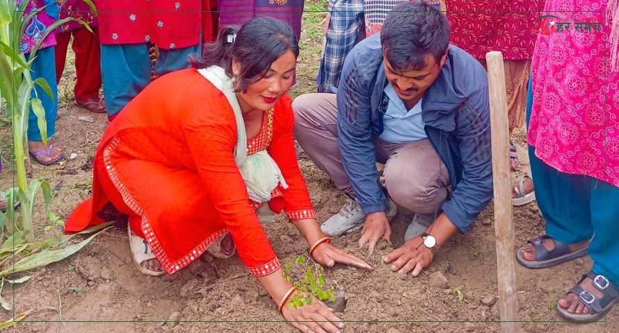 महिला समूहले दियो जलवायु अनुकलन तथा न्यूनीकरणसम्बन्धी फलफूल रोपण तालिम 