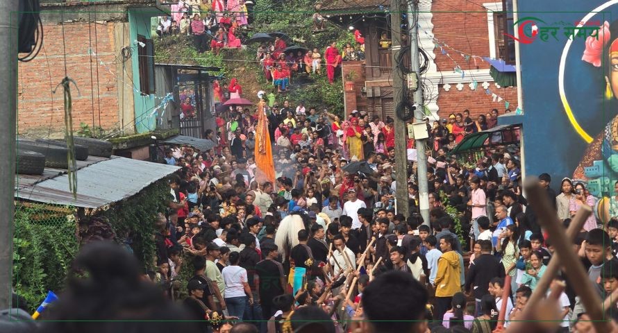 चौतारामा मनाइयो गाईजात्रा 