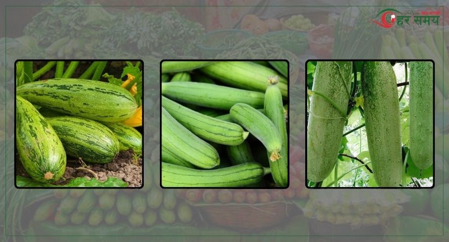 फर्सी, घिरौंला र काक्रोमा भेटियो अत्याधिक विषादी