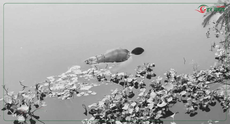 बरहवा नदीमा पुरुषको शव फेला 