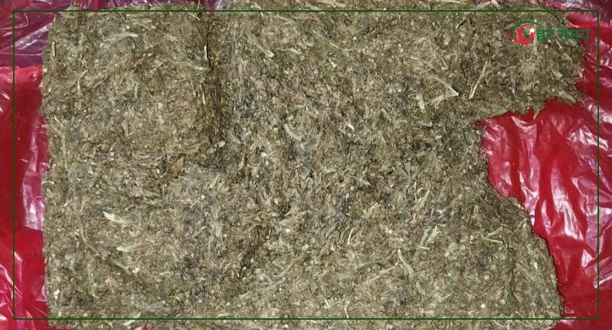 सर्लाहीमा लुकाइ छिपाइ राखिएको गाँजासहित एक जना पक्राउ