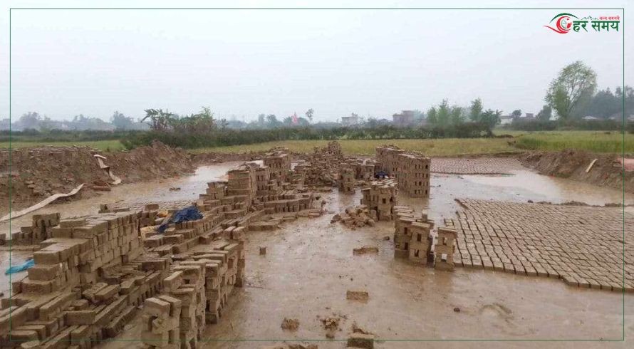 असिना पानीले पाँच करोडको ईंट्टा भिजेर नष्ट