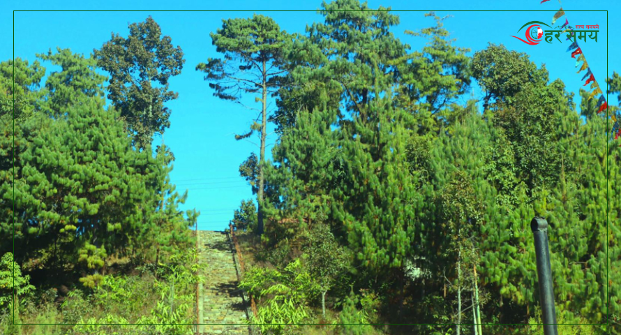 भोजपुरको काफ्ले डाँडालाई पर्यटकीय क्षेत्रका रुपमा विकास गरिँदै