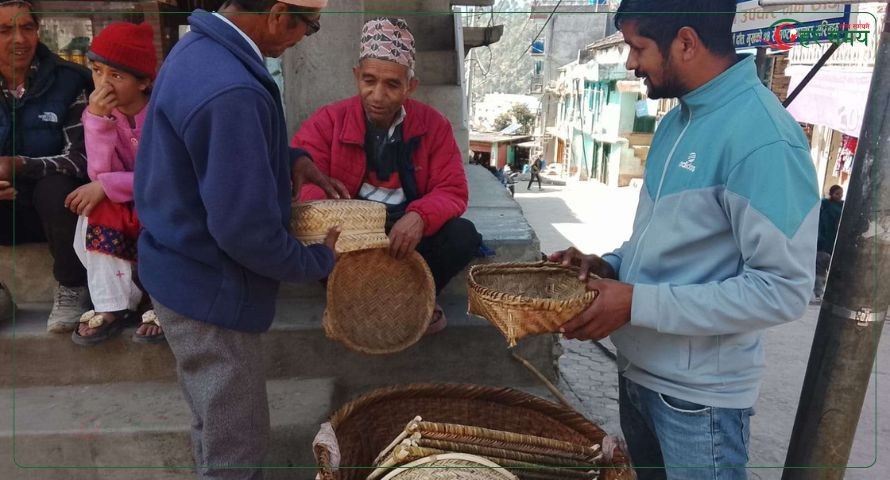 चोयाका सामाग्रीहरुको संरक्षणमा बाजुराका रावत : मेहेनत अनुसारको आम्दानी भने कम