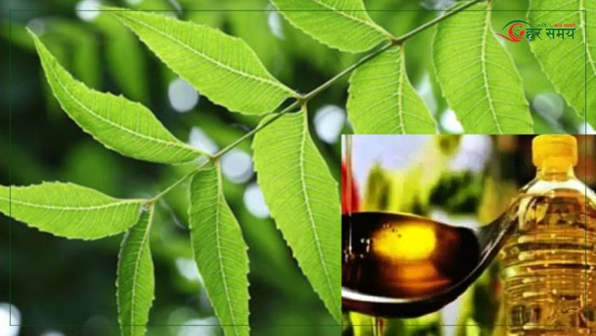आज तेल लगाउने र नीमको पात खाने दिन