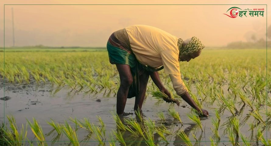देशभर साढे १५ प्रतिशतमात्रै रोपाइँ, सबैभन्दा धेरै सूदूरपश्चिममा