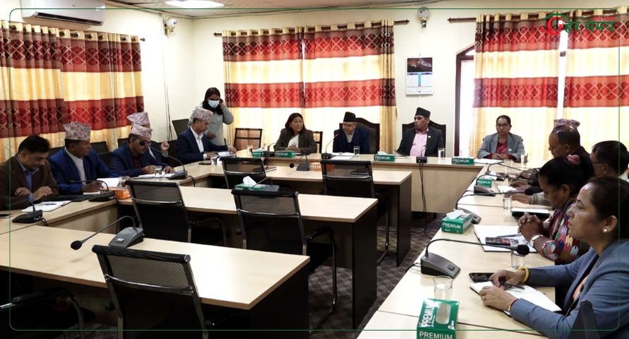 प्रदेश कानुनका व्यवस्था संघीय सरकारले हटाउन नमिल्ने