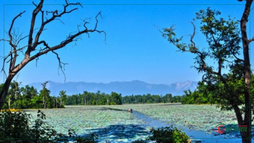 आज विश्व सिमसार दिवस विश्वभर मनाइँदै