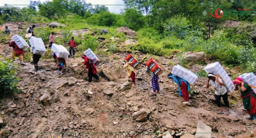 फलफूल कुहिन थालेपछि बोकाएर पहिरो तारिदैं