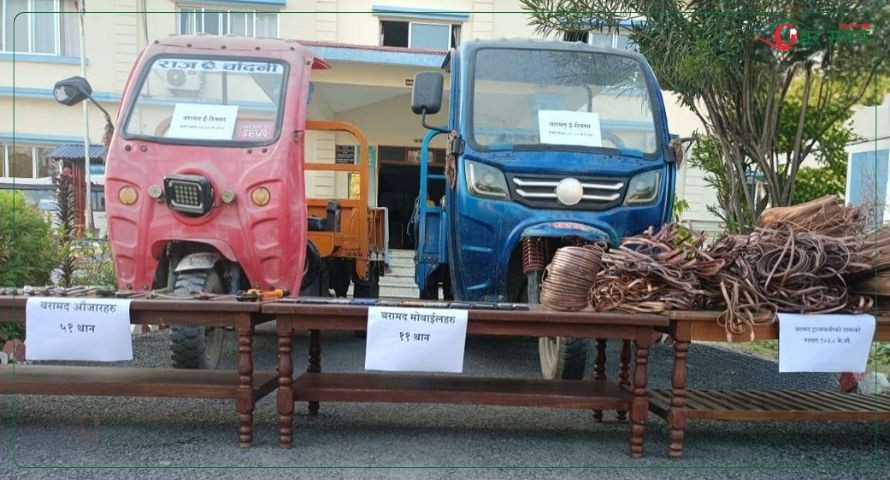 सर्लाहीमा बिजुलीका ट्रान्सफर्मर चोरीको आतंक मच्चाउने गिरोह नै पक्राउ