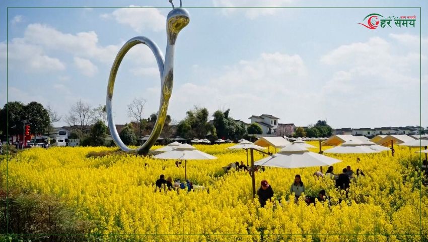 तोरीबारीमा बसेर डिनर खाने पर्यटकीय गन्तब्य बन्दै चीन