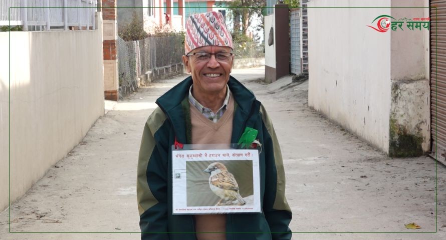 कीर्तिपुरका ‘भँगेरा बाजे’ : जो घर घरमा भँगेराको वासस्थान निर्माणमा सक्रिय छन्