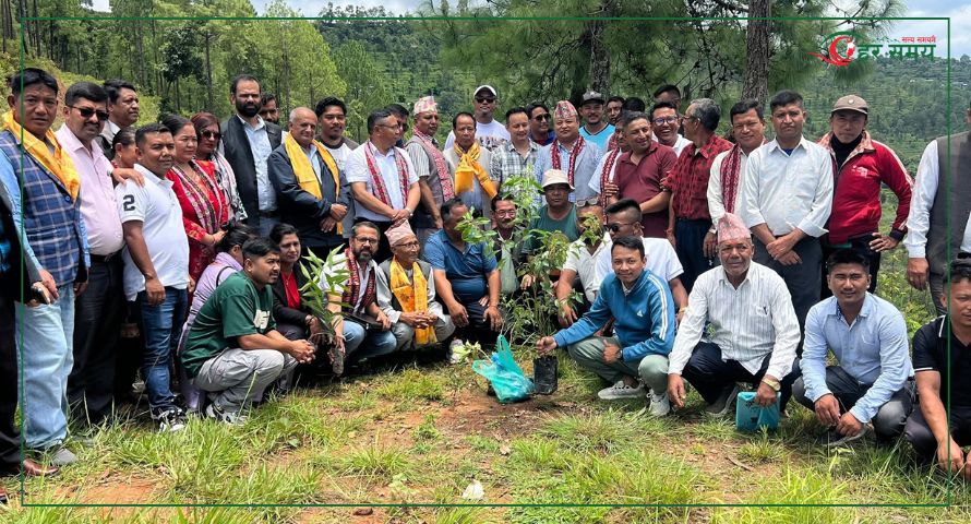 विपी स्मृति दिवसको अवसरमा सिन्धु कांग्रेसद्वारा वृक्षरोपण