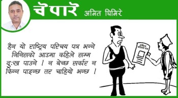 कार्टुन : राष्ट्रिय परिचय पत्र