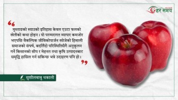 हिमालपारी ‘झ्याउ’ मानिएको ‘स्याउ’ले कसरी बदल्यो जीवनस्तर ?