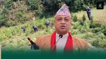 गाँजा फडानी एकातिर, मुख्यमन्त्रीको समर्थन अर्कोतिर