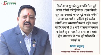 सुनचाँदी व्यवसायीहरु तालाचाबी सरकारलाई बुझाउने अवस्थामा छन् : विपिन रामुदामु