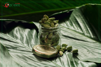 अलैंची निर्यात ३३ प्रतिशतले बढ्यो