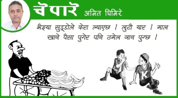 कार्टुन : भैयाको केरा, ठमेलको फेरा !