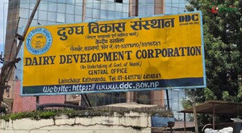 रास्वपा महाधिवेशनमा डीडीसीका उत्पादनको माग बढ्यो, दैनिक एक लाखभन्दा बढीको बिक्री