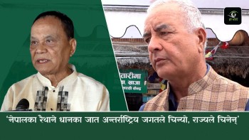 ‘भातमुखी’ देश नेपाल आयातित चामलमा निर्भर, धान उत्पादन बढाउने योजना कमजोर