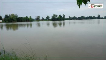 रौतहटका धान खेत जलाशयमा परिणत, किसान मर्कामा 