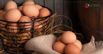 अण्डाको मूल्य हालसम्मकै उच्च, क्रेटको कति पुग्यो ?
