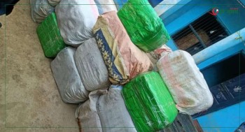 सिरहाको मेदीको घरबाट ७१७ किलो गाँजा बरामद, घरधनी फरार