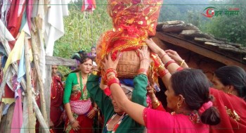 आज गौरा पर्वको तेस्रो दिन : ब्रतालु महिलाहरुले गौरादेवीलाई घर भित्र्याउँदै