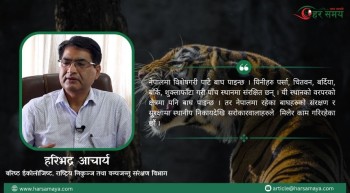 नेपालमा बाघको सङ्ख्या दोब्बर मात्र होइन तेब्बर बनाउने लक्ष्य छ : हरिभद्र आचार्य [भिडियो]   ​​​​​