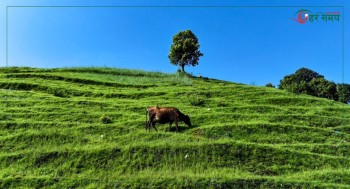 स्वर्ग जस्तै अनूभूति गराउने हेभन डाँडा (फोटो फिचर)
