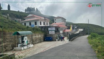 टी टेस्टिङ सेन्टरको भवनमा संचालनमा आयो ‘कन्याम वृक्षालय’ 