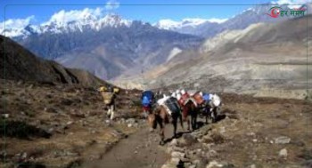 उच्च हिमाली पदमार्गमा यात्रा नगर्न मुस्ताङ प्रशासनको आग्रह मुस्ताङ