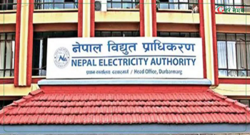 बक्यौता नतिरेका ६ उद्योगको प्राधिकरणले काट्यो लाइन 