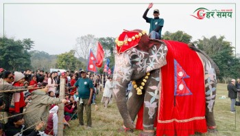 ४० वर्षीया पुनमकली बनिन् ‘मिस हात्ती सुन्दरी–२०८२’